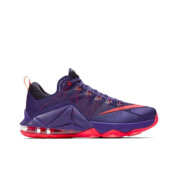 Nike LeBron 12 Low Court Purple-1