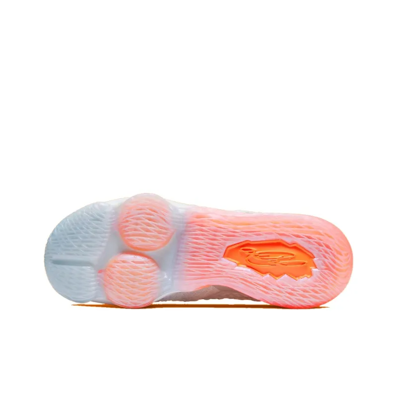 Nike LeBron 17 LMTD EP Future Air-5