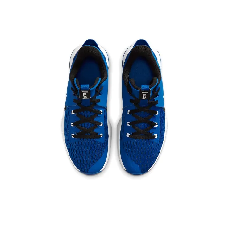 Nike LeBron Witness 5 Game Royal-3