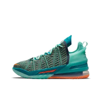 Nike LeBron 18 We Are Family