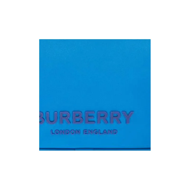 Burberry Leather Shoulder Bag Crossbody Bag Regular Men's Blue-4