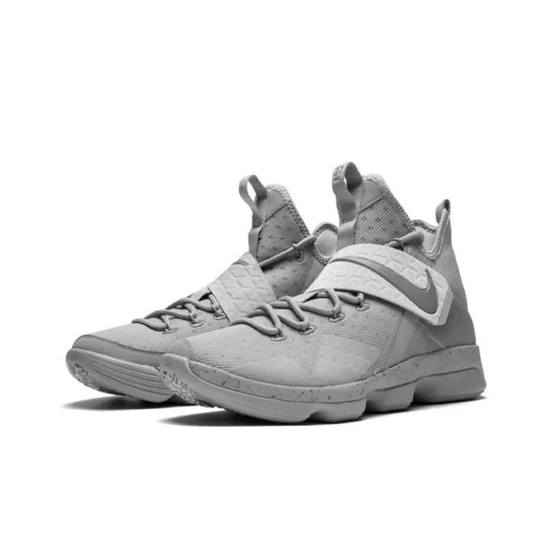Nike LeBron 14 Silver-1