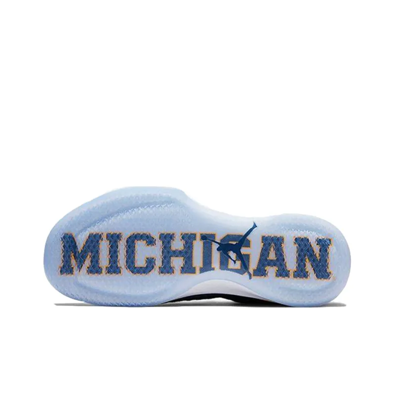 Jordan XXX1 Low Michigan-4