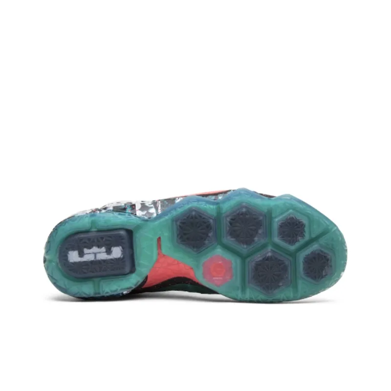 Nike LeBron 12 Akron Birch-3
