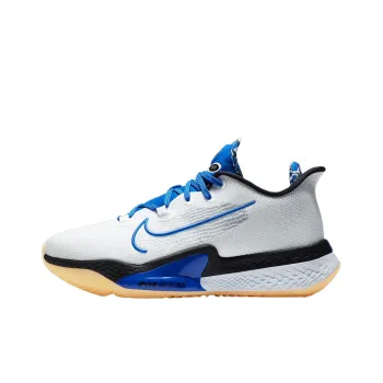 Nike Air Zoom Bb Nxt Sisterhood