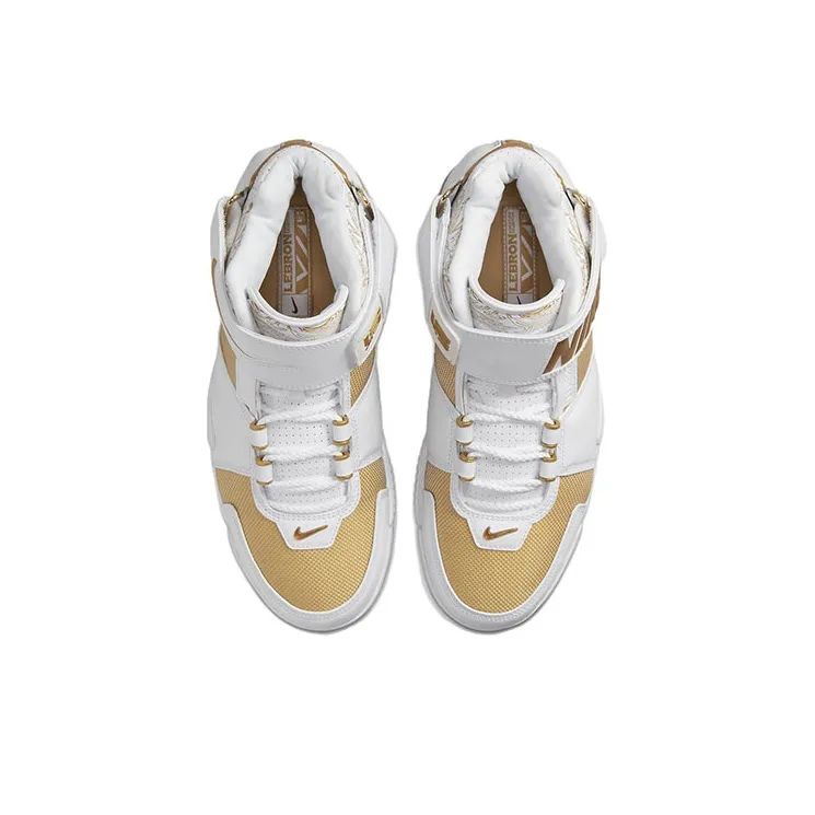 Nike LeBron Zoom 2 Maccabi 2022-3
