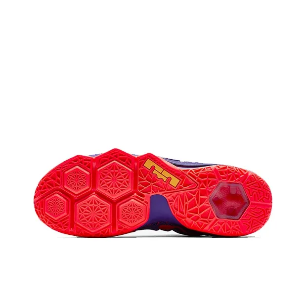 Nike LeBron 12 Low Court Purple-4