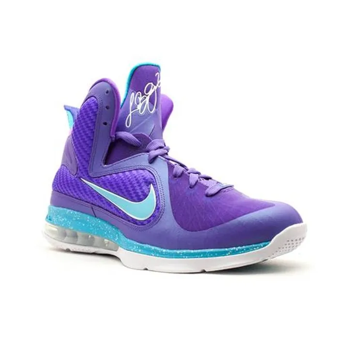 Nike LeBron 9 Summit Lake Hornets-2