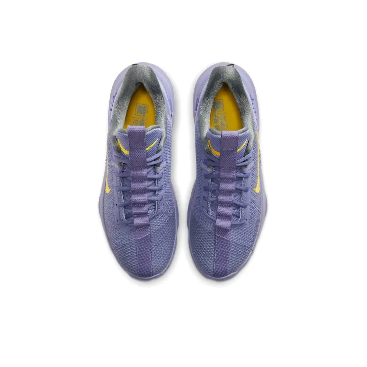 Nike LeBron Ambassador 13 Lakers-3