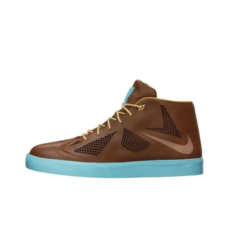 Nike LeBron X Nsw Hazelnut-0