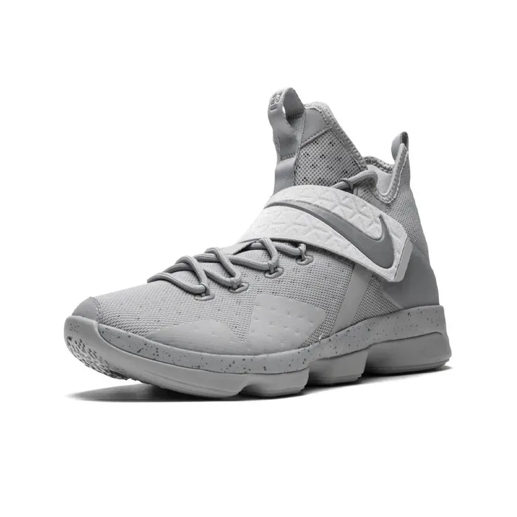 Nike LeBron 14 Silver-2