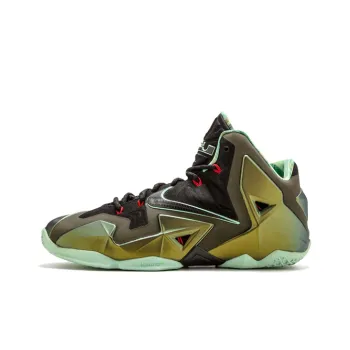 SNike LeBron 11 King's Pride Men's