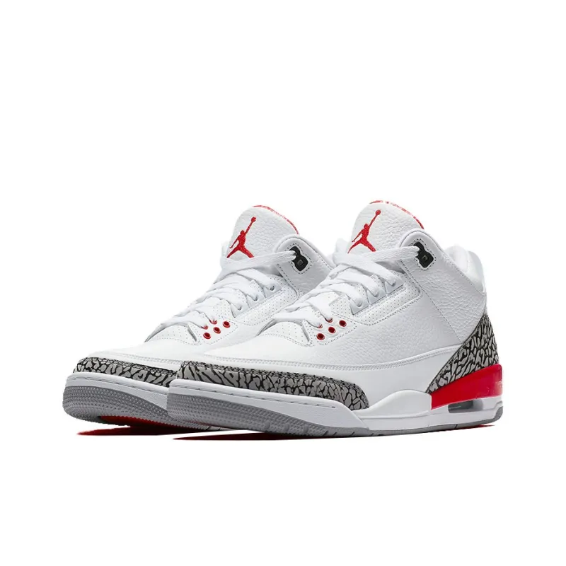 Jordan 3 Retro Hall Of Fame Sneaker Politics Special Release-2