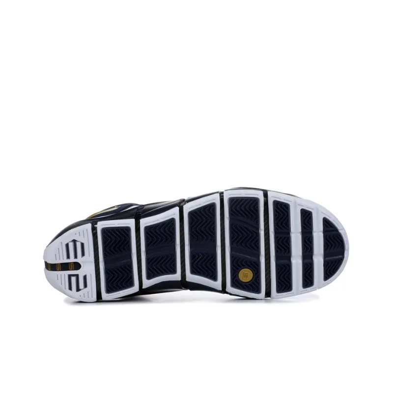 Nike LeBron 4 West Coast-3