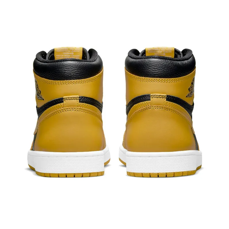 Jordan 1 Retro High Pollen-4