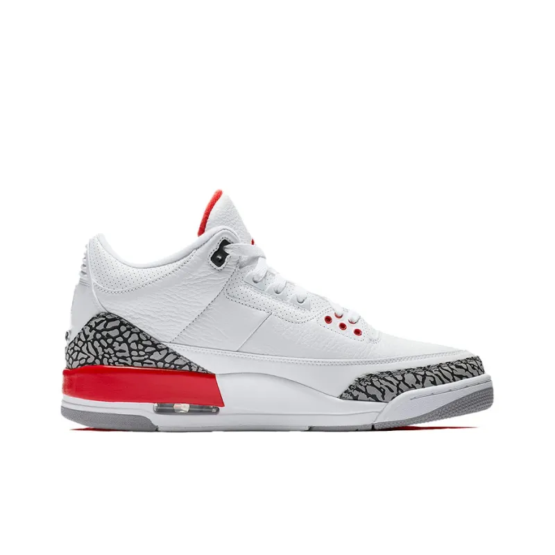 Jordan 3 Retro Hall Of Fame Sneaker Politics Special Release-1