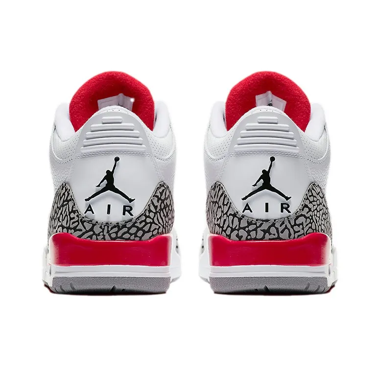 Jordan 3 Retro Hall Of Fame Sneaker Politics Special Release-4