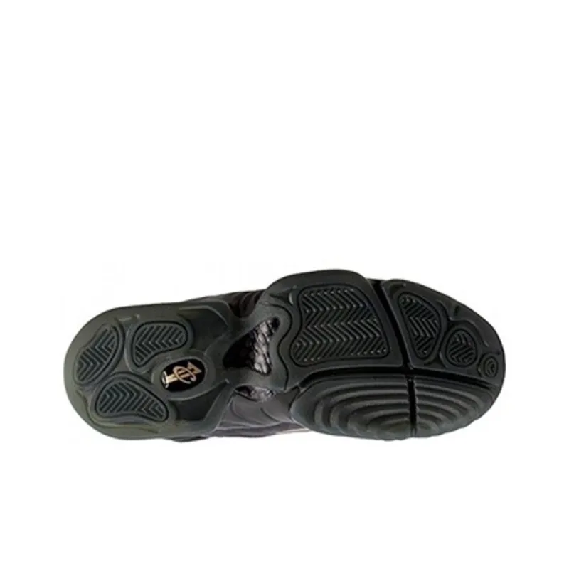 Nike Air Penny Iv Copper-3