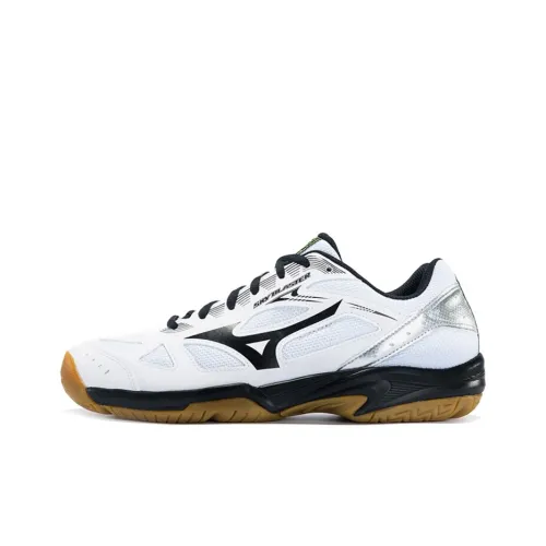 Mizuno Male Mizuno Sky Blaster Badminton Shoes 'White Black'