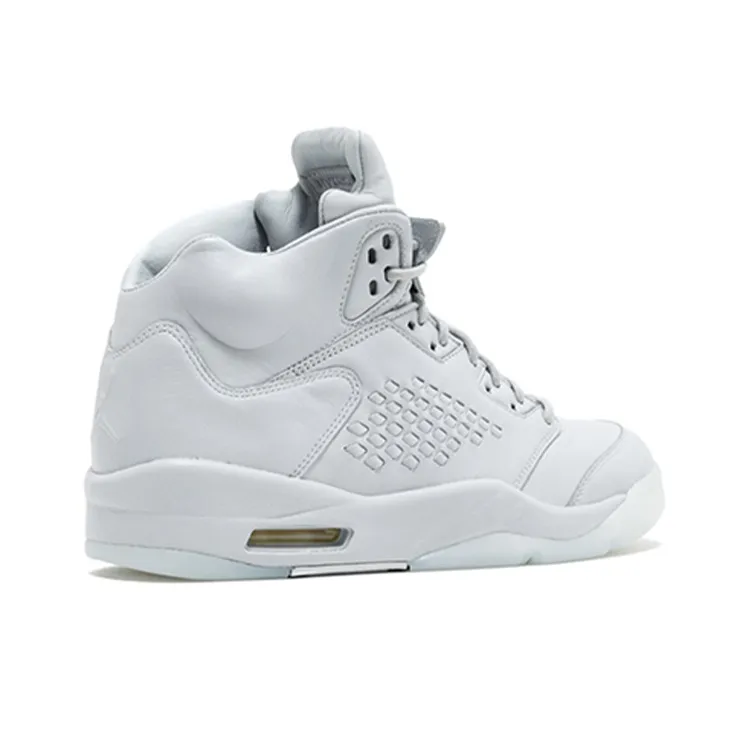 Jordan 5 Retro Pure Platinum-2