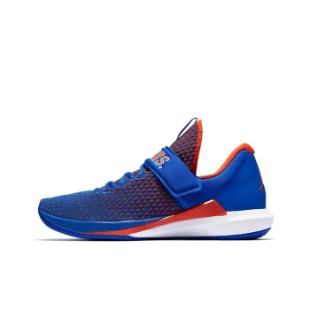 JORDAN Trainer 3 Florida Gators