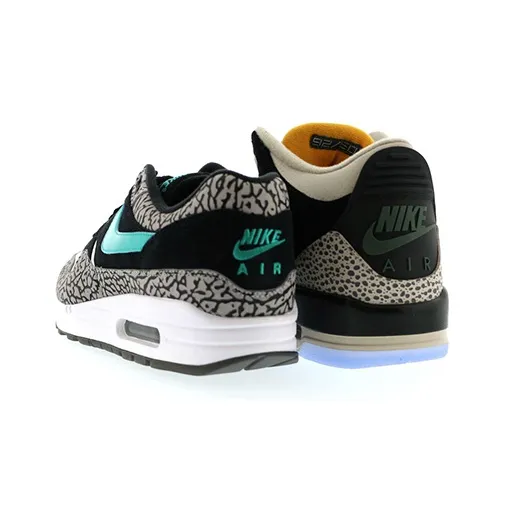 Jordan 3 Retro & Nike Air Max 1 Atmos Pack-4