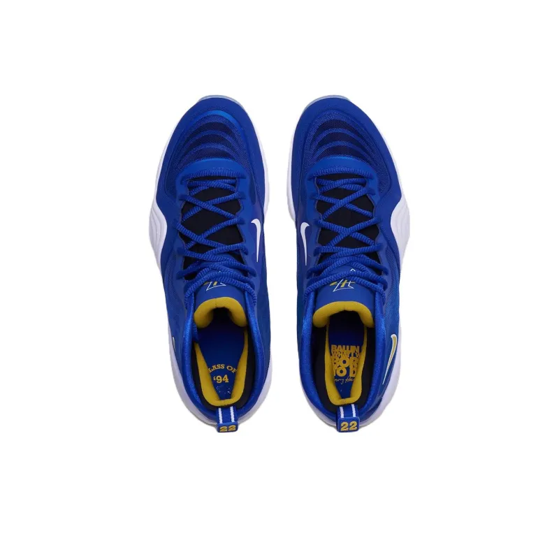 Nike Air Penny 5 Blue Chips-1