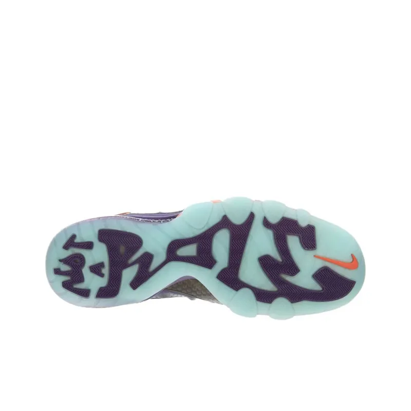 Nike Barkley Posite Max Suns-3