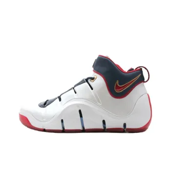 Nike LeBron 4 Playoffs