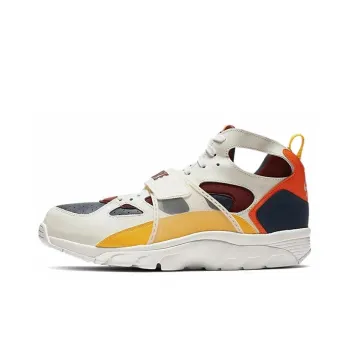 Nike Air Trainer Huarache City Pride Houston