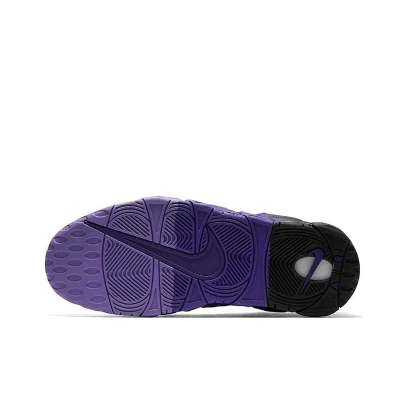 Nike Air More Money Court Purple-4