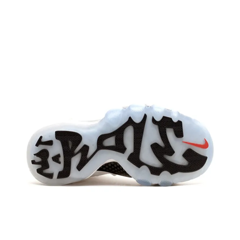 Nike Barkley Posite Max Usa-4