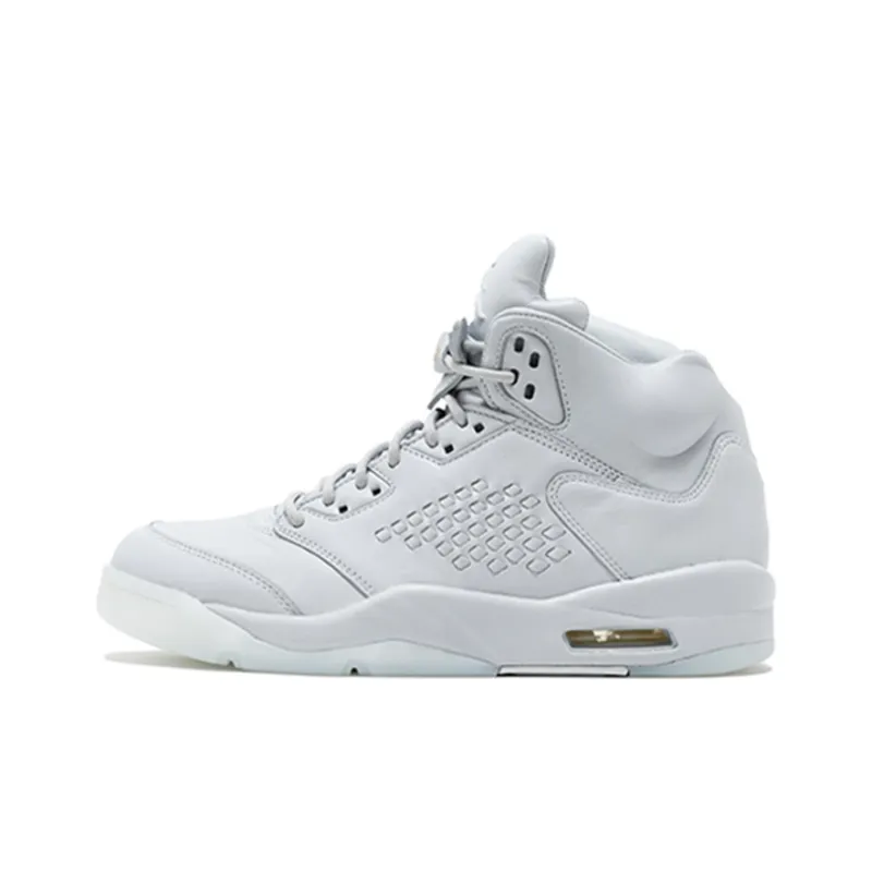 Jordan 5 Retro Pure Platinum-0