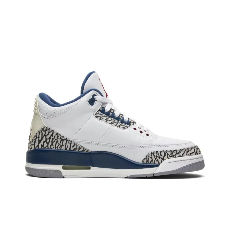 Jordan 3 Retro 'True Blue' 2009-1