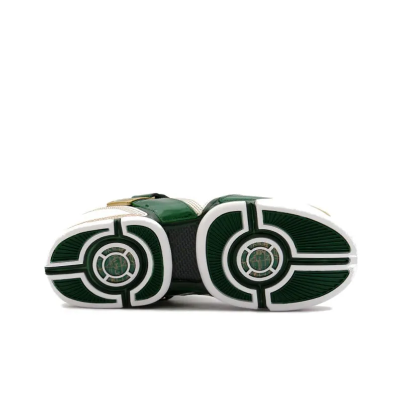 Nike LeBron 5 St. Vincent St. Mary-3