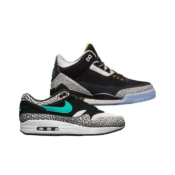 Jordan 3 Retro & Nike Air Max 1 Atmos Pack-3