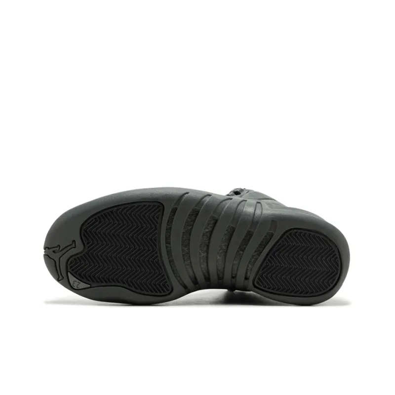 Jordan 12 Retro Psny-4