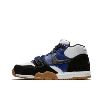 Nike Sb Air Trainer 1 Polar Skate Co