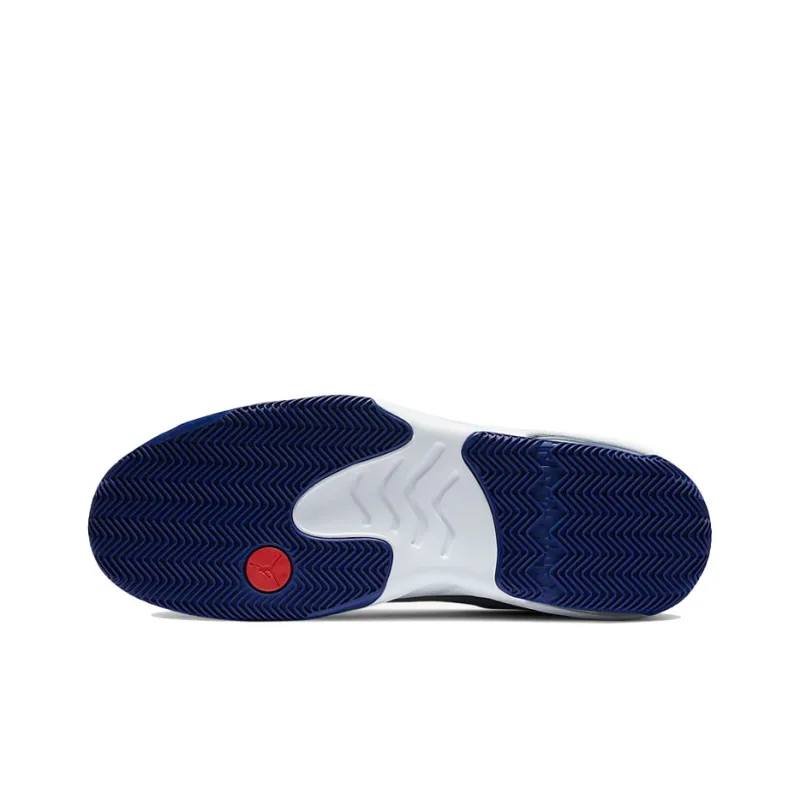 Jordan Max Aura 2 Grey Royal Blue-5