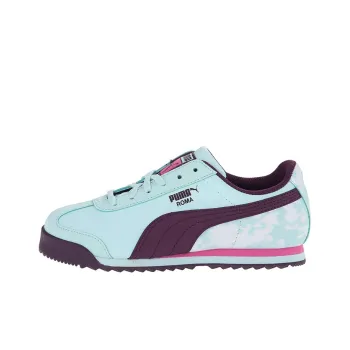 PUMA Roma Basic Blur Weave Wht Cushioning Wear-Resistant Low-Top Training Shoes Men's Blue