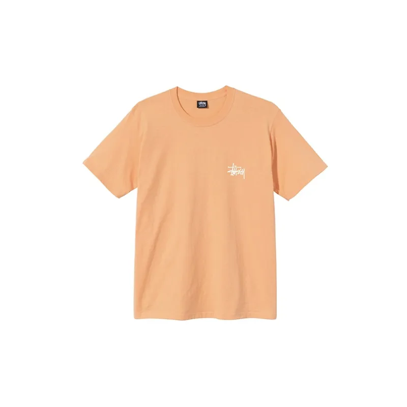 Stussy Web Pigment Dyed Tee-44