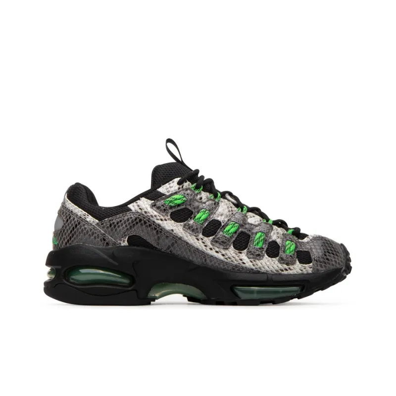 PUMA Cell Endura Animal Kingdom Black-1