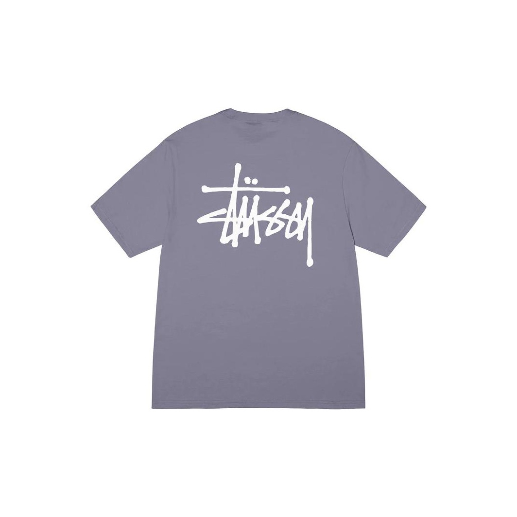 【SATIIIZ】PARIS Pigment Layered T-Shirt Stussy Web Pigment Dyed Tee XL - POIZON