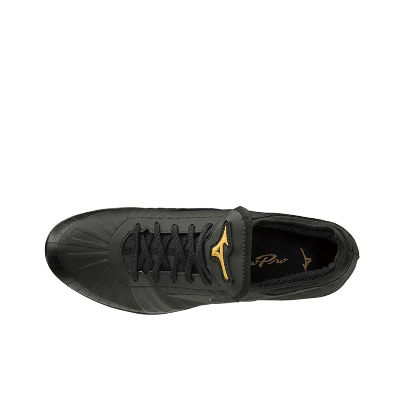 Mizuno Pro Ps2-2
