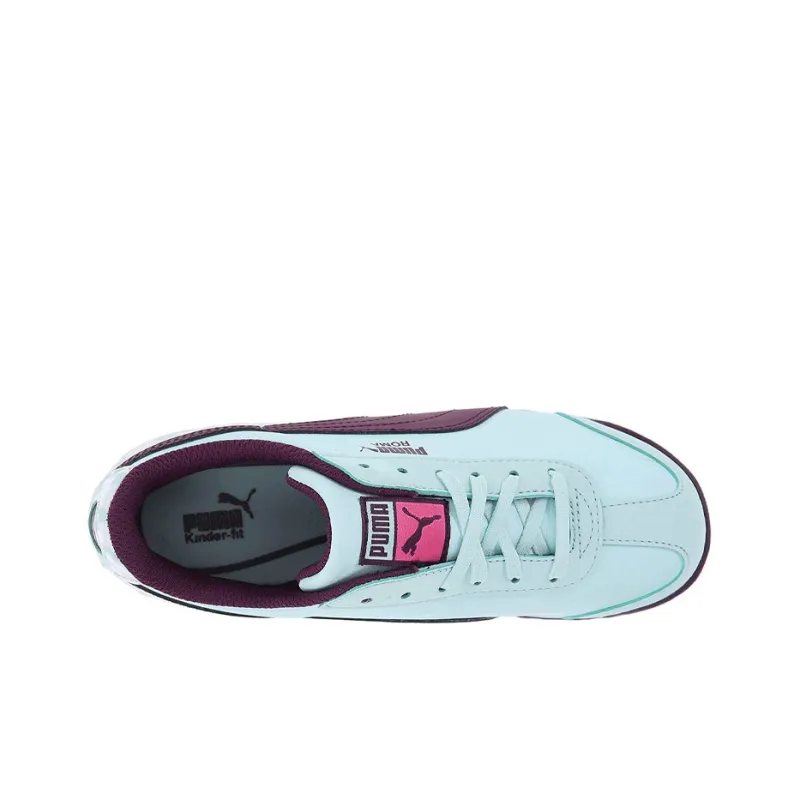 PUMA Roma Basic Blur Weave Wht Cushioning Wear-Resistant Low-Top Training Shoes Men's Blue-2