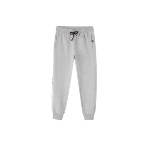 Discovery Expedition Men Knit Sweatpants