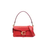 Bag+Dust Bag