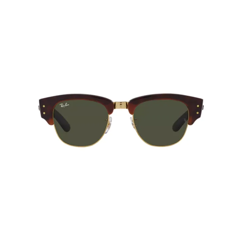 RayBan Injection-Molded Irregular Shape Sunglasses Unisex Brown-1