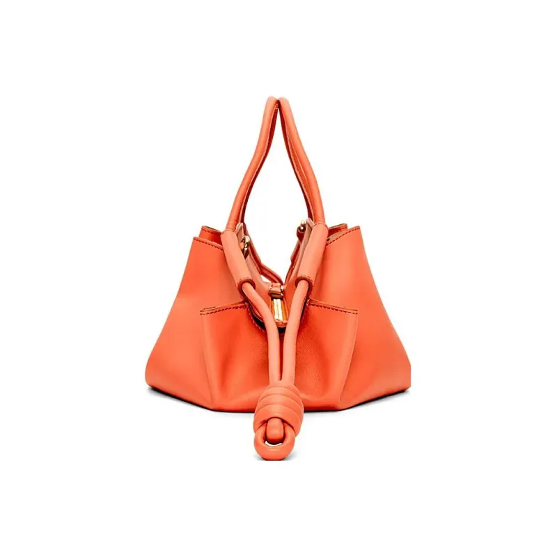 LOEWE Shiny Nappa Cow Leather Dumpling Bag Shoulder Bag Crossbody Bag Handbag Small Size Women's Orange-3