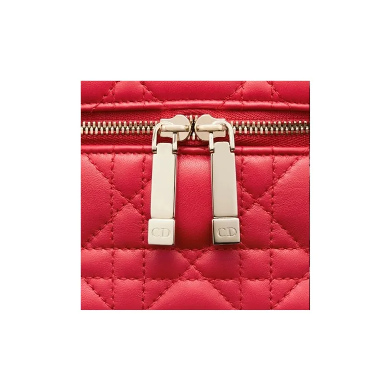 DIOR Lady DIOR Makeup Bags-5